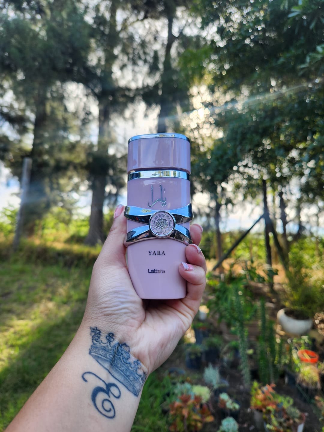 Customer photo review of Yara lattafa 100ml Eau de Parfum