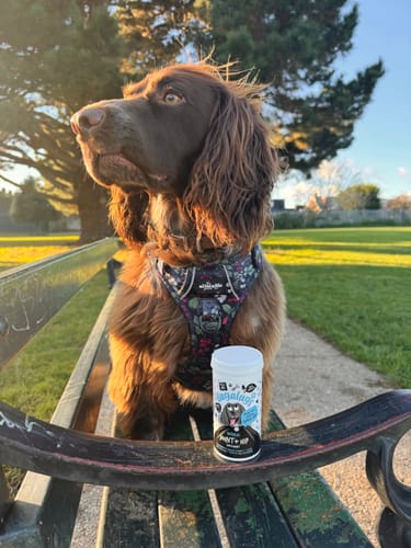 Customer photo review of Natural Joint & Hip Supplement Powder for Dogs (200g)