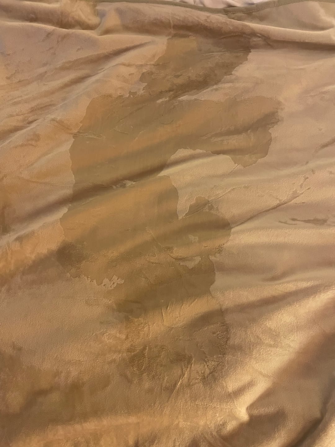 Customer photo review of Waterproof Splash Blanket™️ - Champagne Double Veluxe