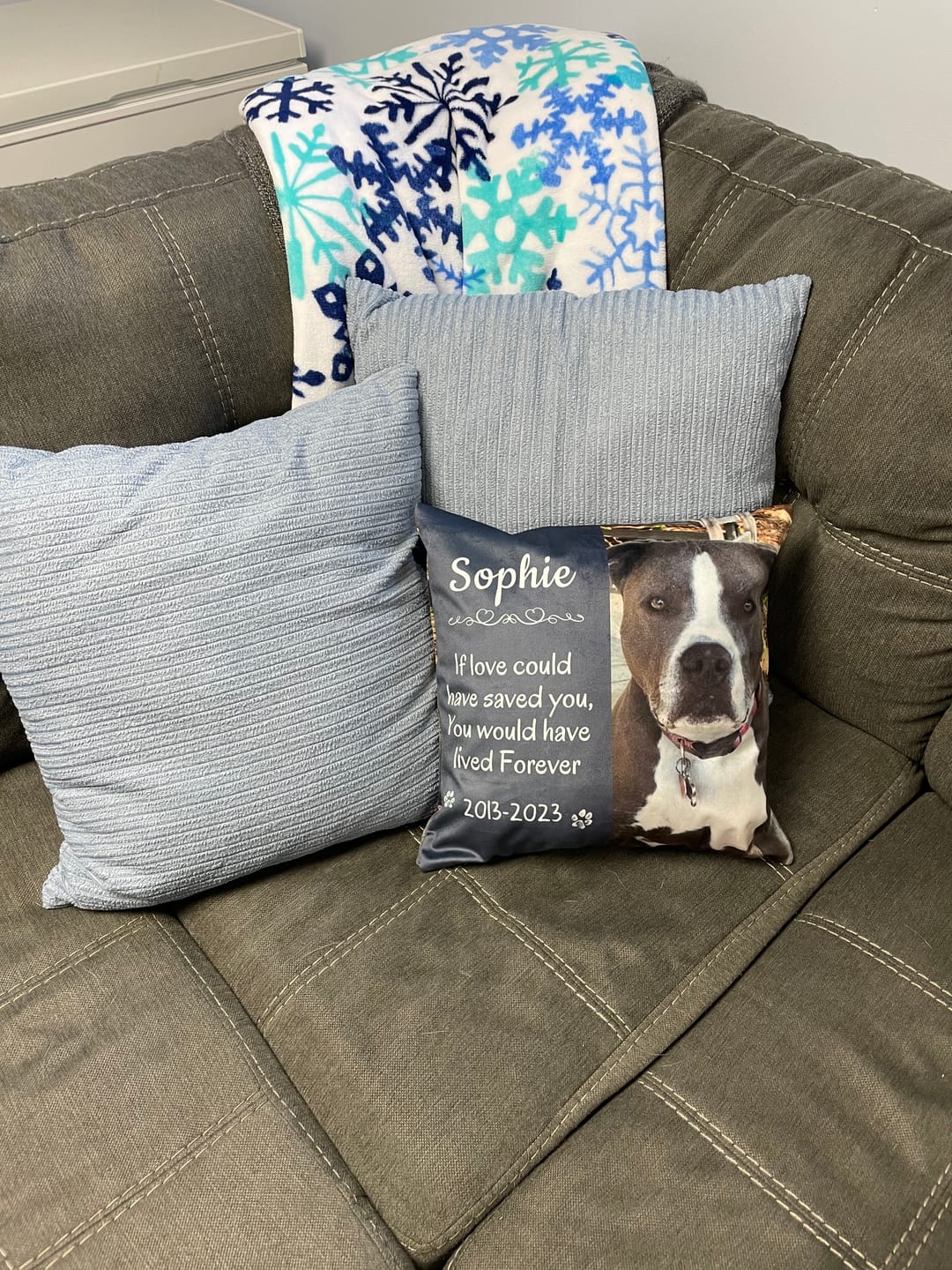 Customer photo review of Pet Memorial Pillow with Dog Portrait Personalized Sympathy Gift for Loss of Pet