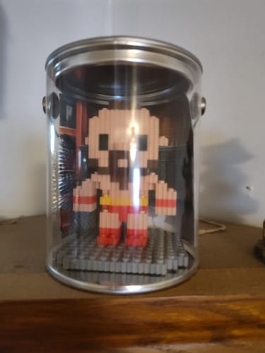 Customer photo review of Street Fighter® 3D Mini Pixel Fighter – Zangief