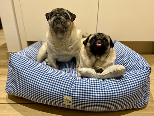 Customer photo review of Divanetto Cotone Vichy