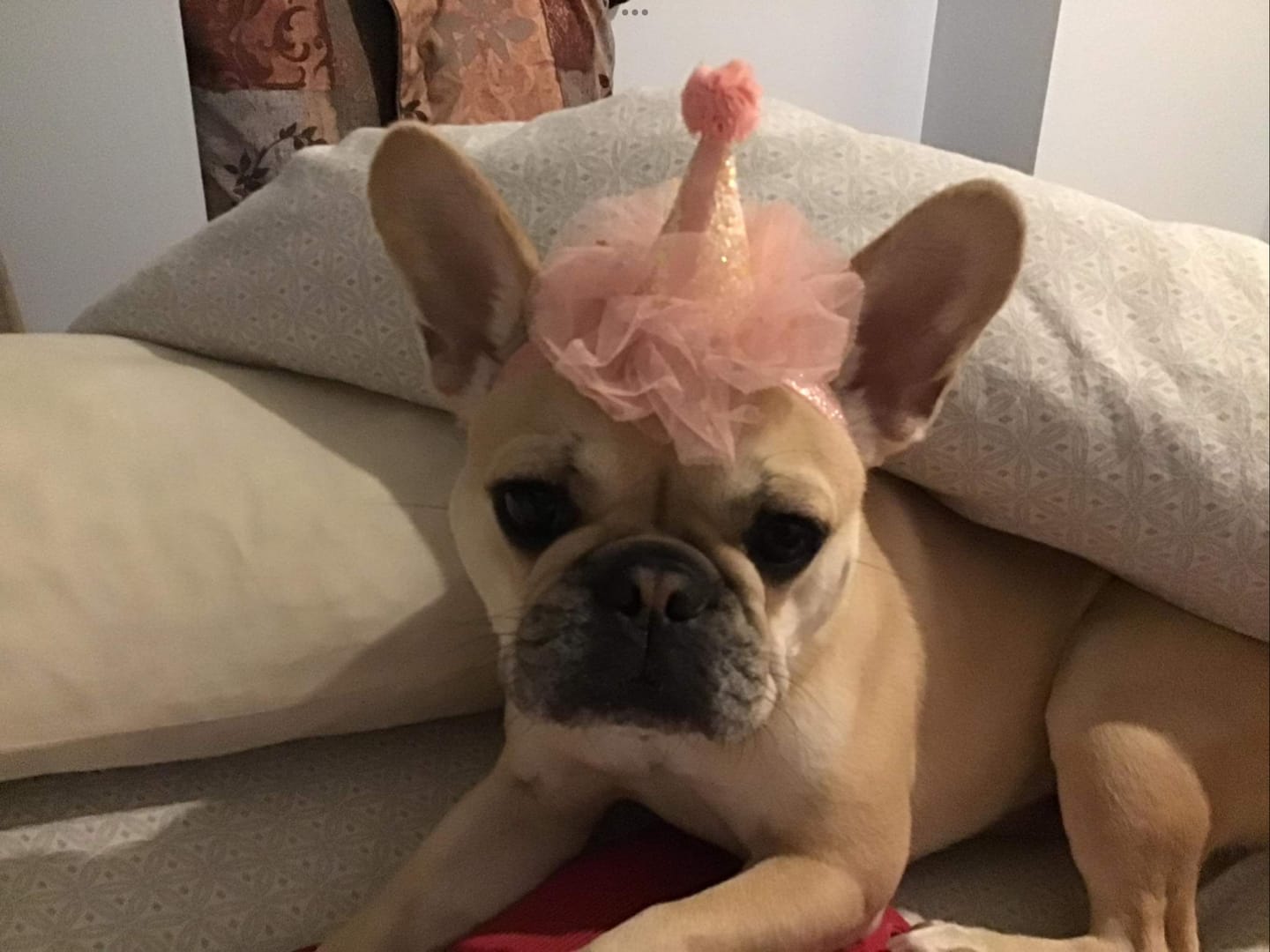 Customer photo review of Sparkle Lace Birthday Headgear