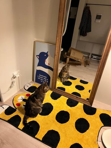 孝偲 review of 實木框方形 全身落地鏡 image 1 out of 1