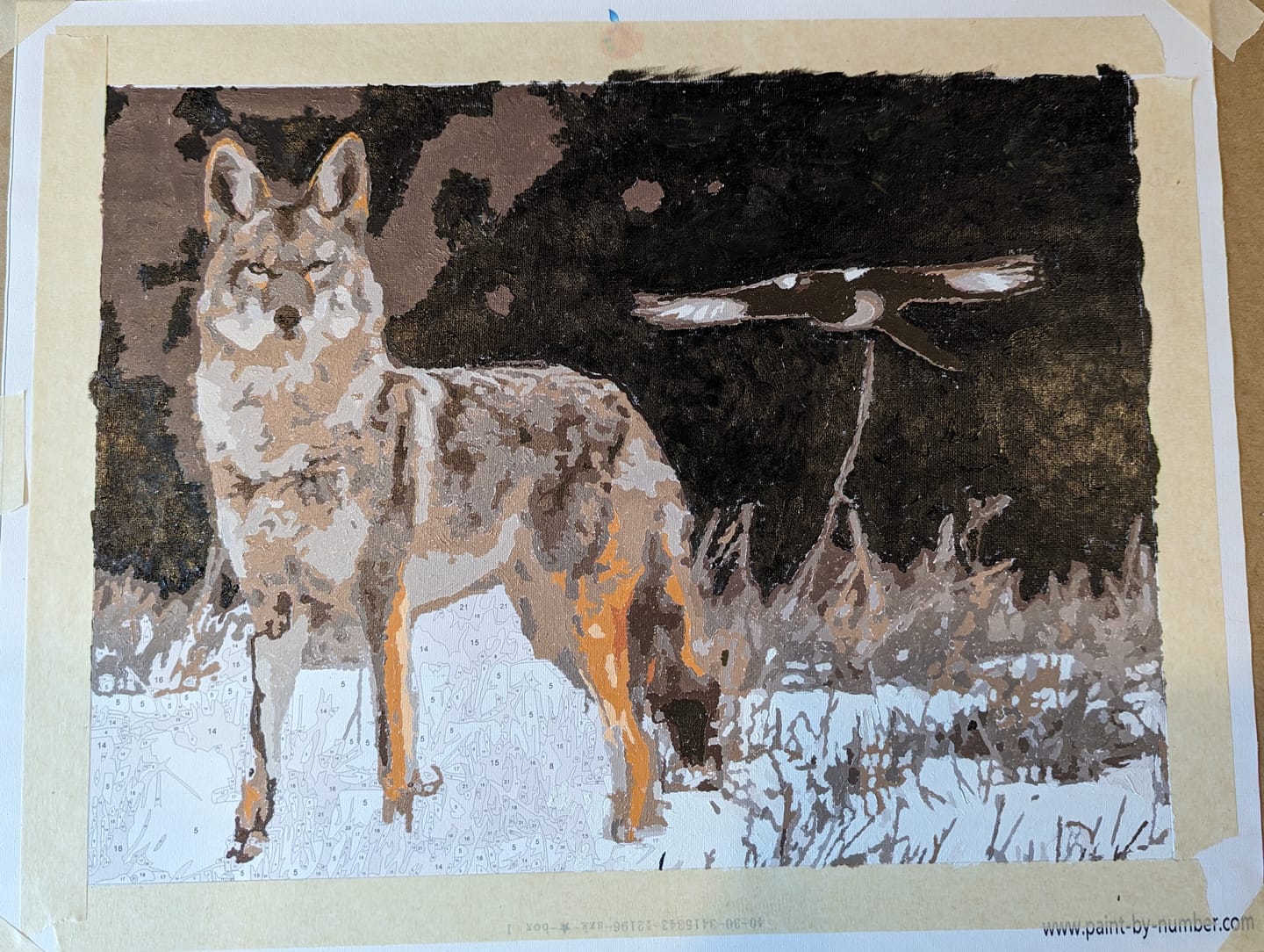 Customer photo review of Custom Paint By Numbers Kit | Just Upload Your Photo!