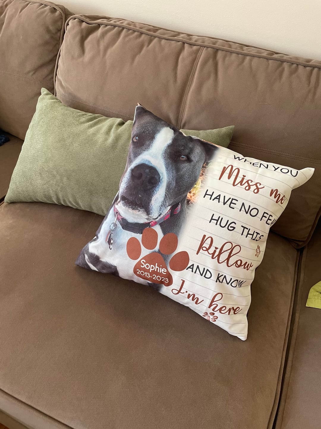 Customer photo review of Pet Memorial Pillow with Dog Portrait Personalized Sympathy Gift for Loss of Pet
