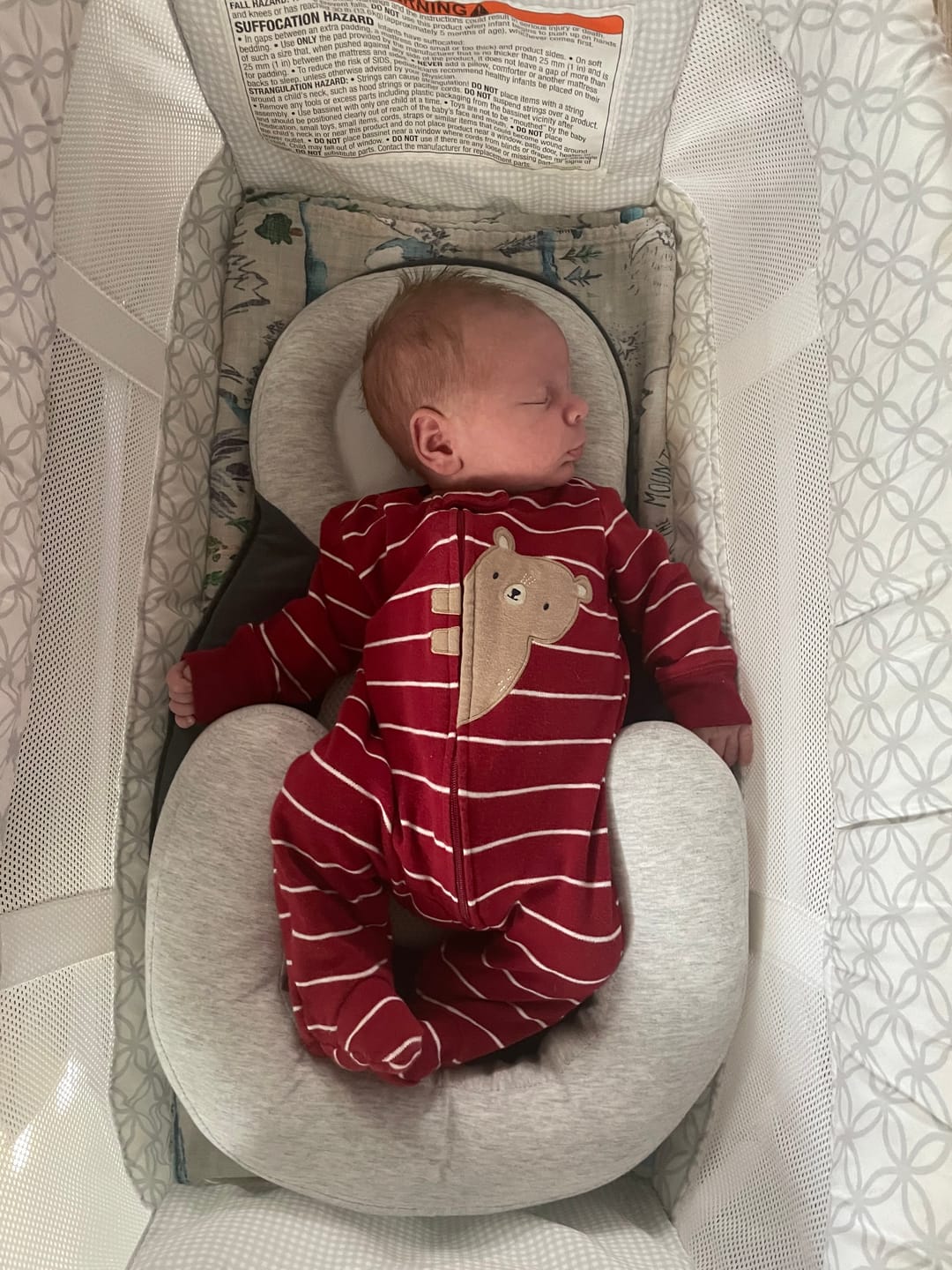 Customer photo review of Snuggle Cloud™ | Baby Lounger