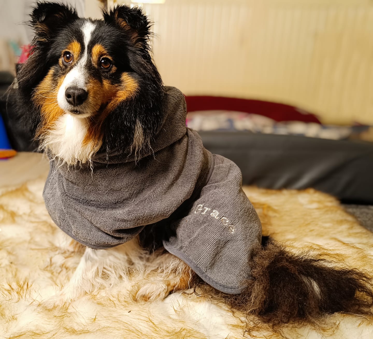 Customer photo review of Persönliche Gravur - Premium Hunde Bademantel
