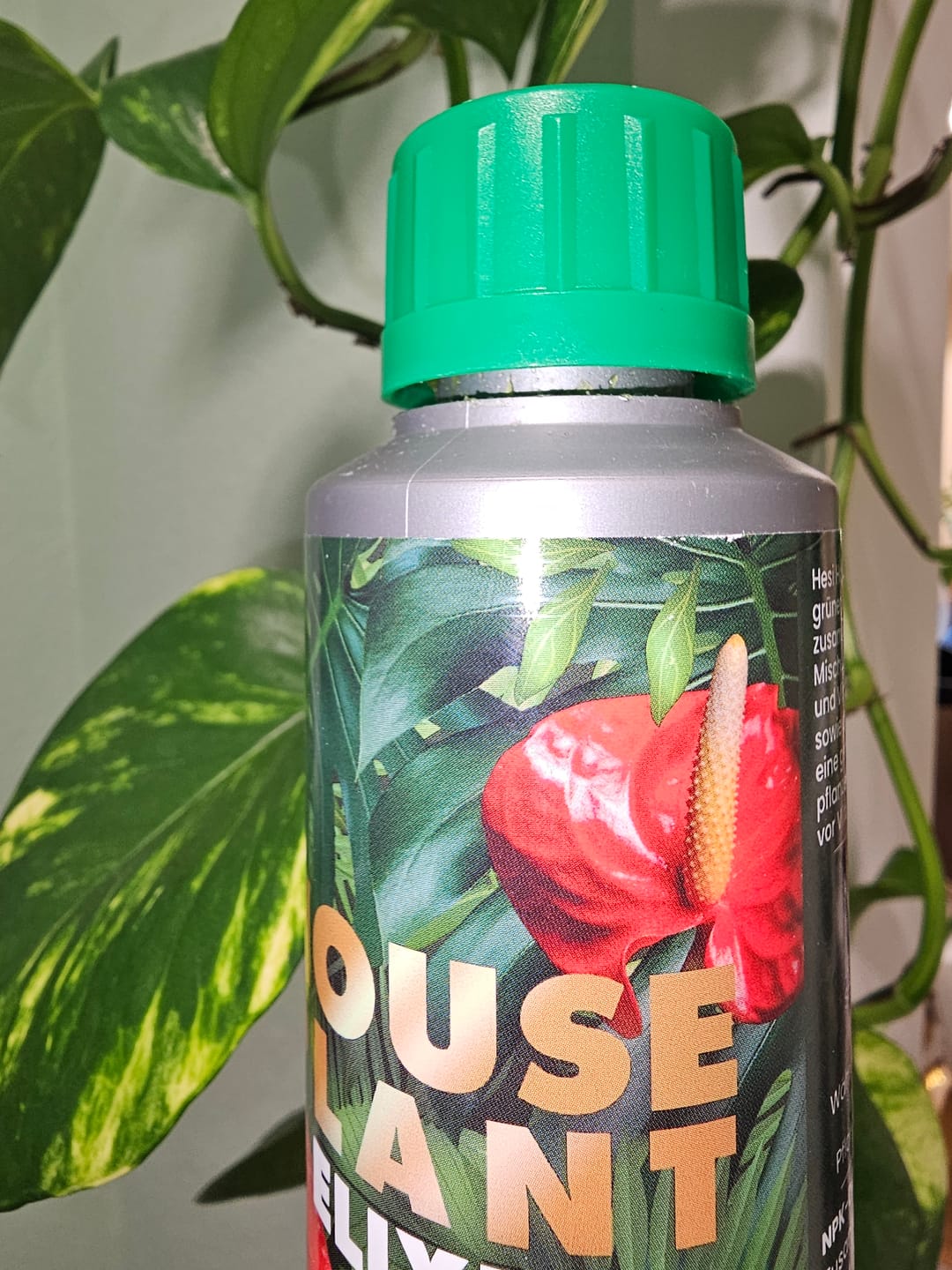 Customer photo review of HPE - Hesi Houseplant Elixir