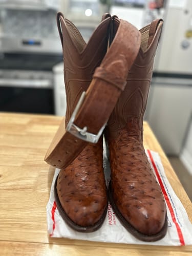 Customer photo review of Brandy Ostrich Belt