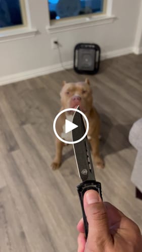 Customer video review of PHANTOM X7