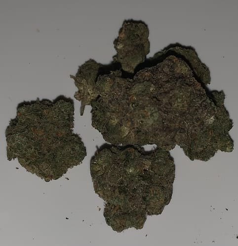 Customer photo review of Lemon Cherry Gelato - THCa Flower