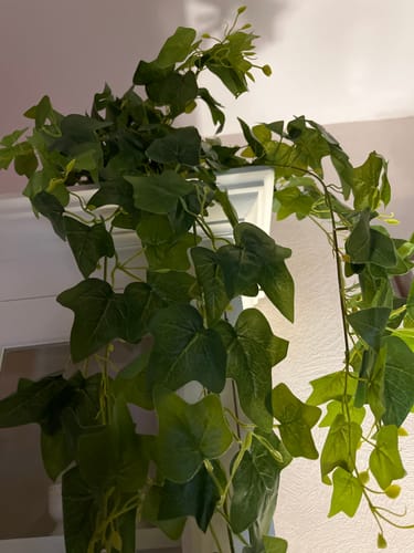 Customer photo review of Hedera Kunst Hangplant 110cm