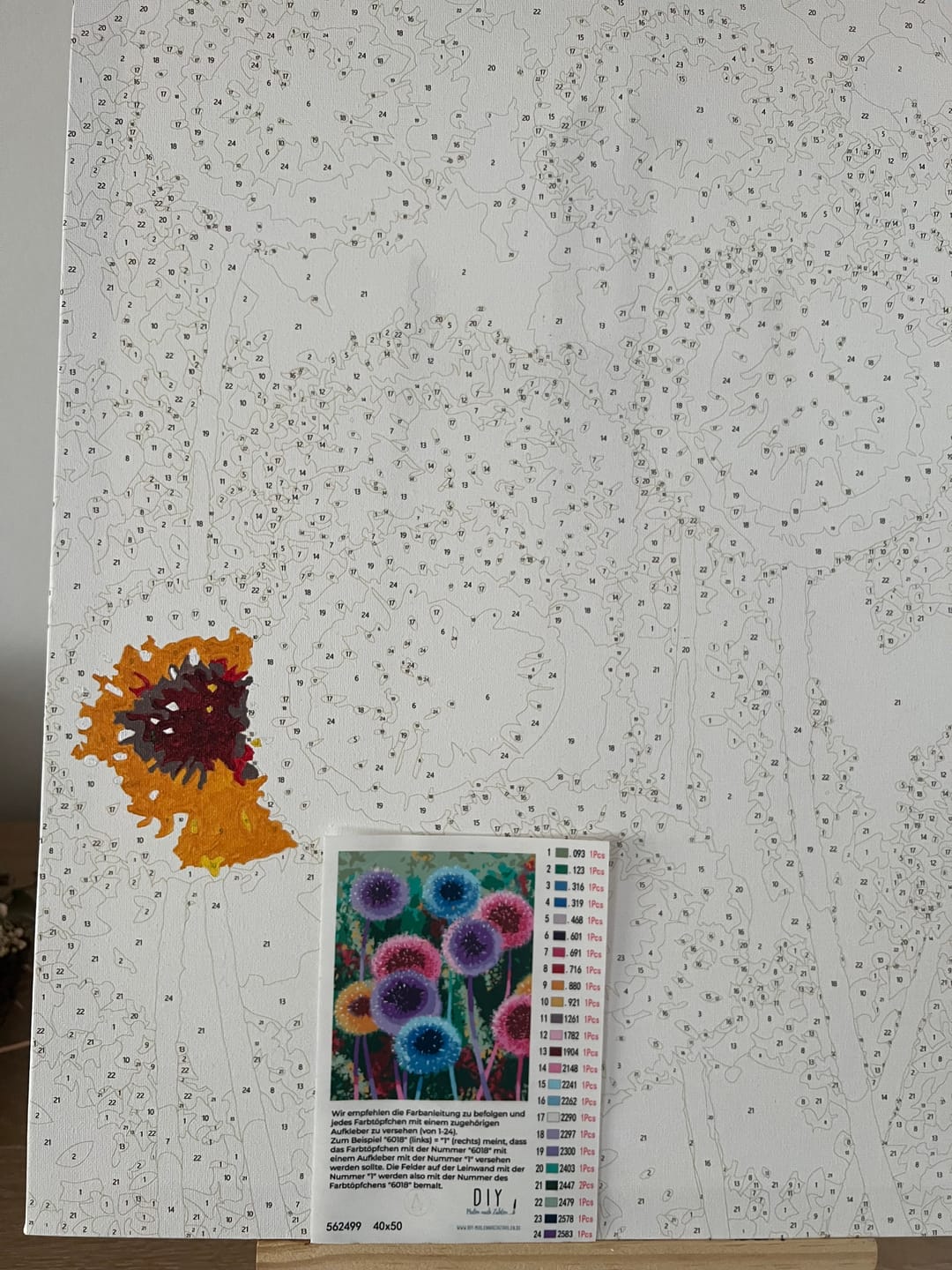 Customer photo review of Malen nach Zahlen - Bunte Pusteblumen