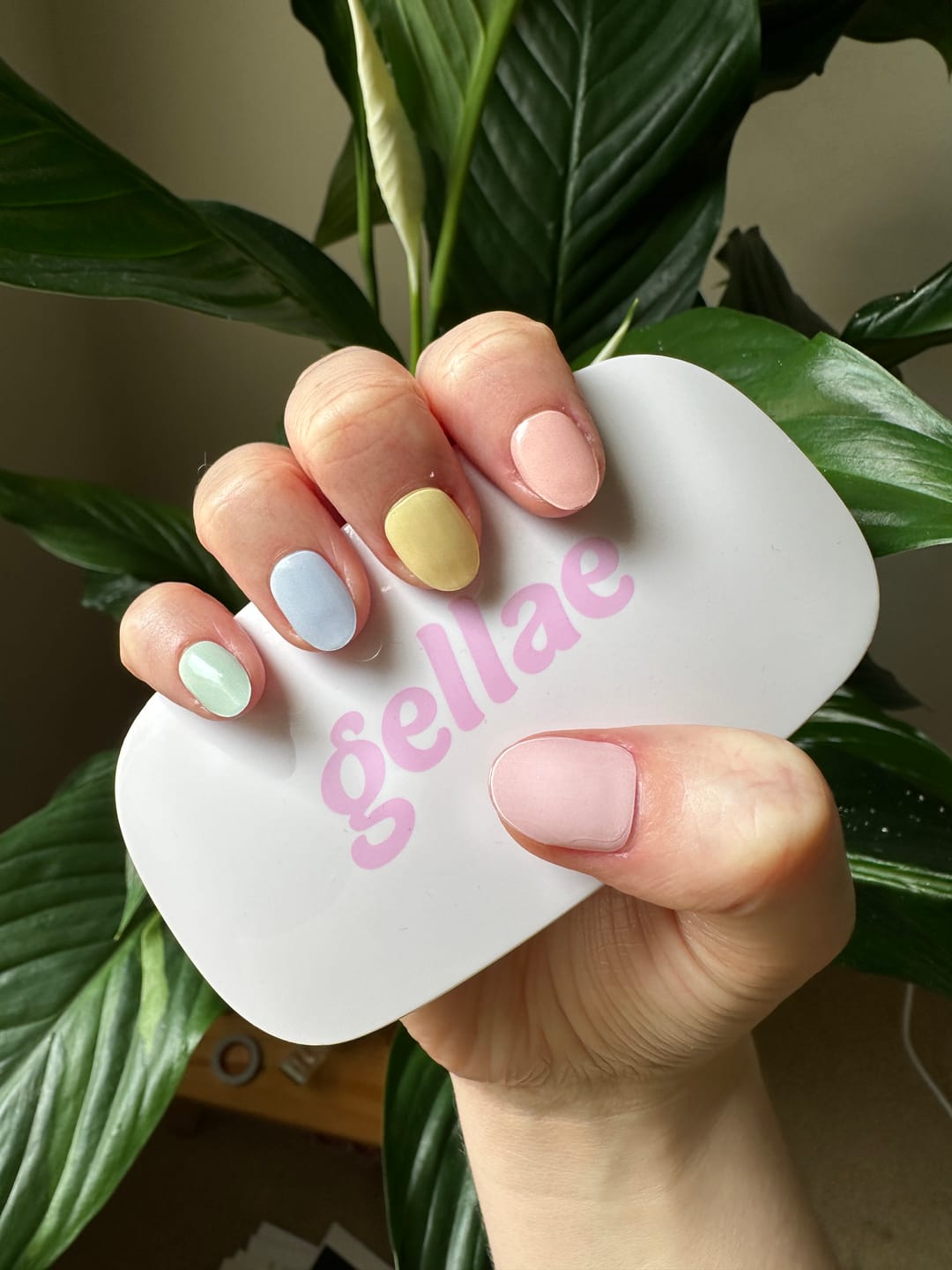 Customer photo review of Pastel Rainbow DIY Semicured Gel Nail Sticker Kit
