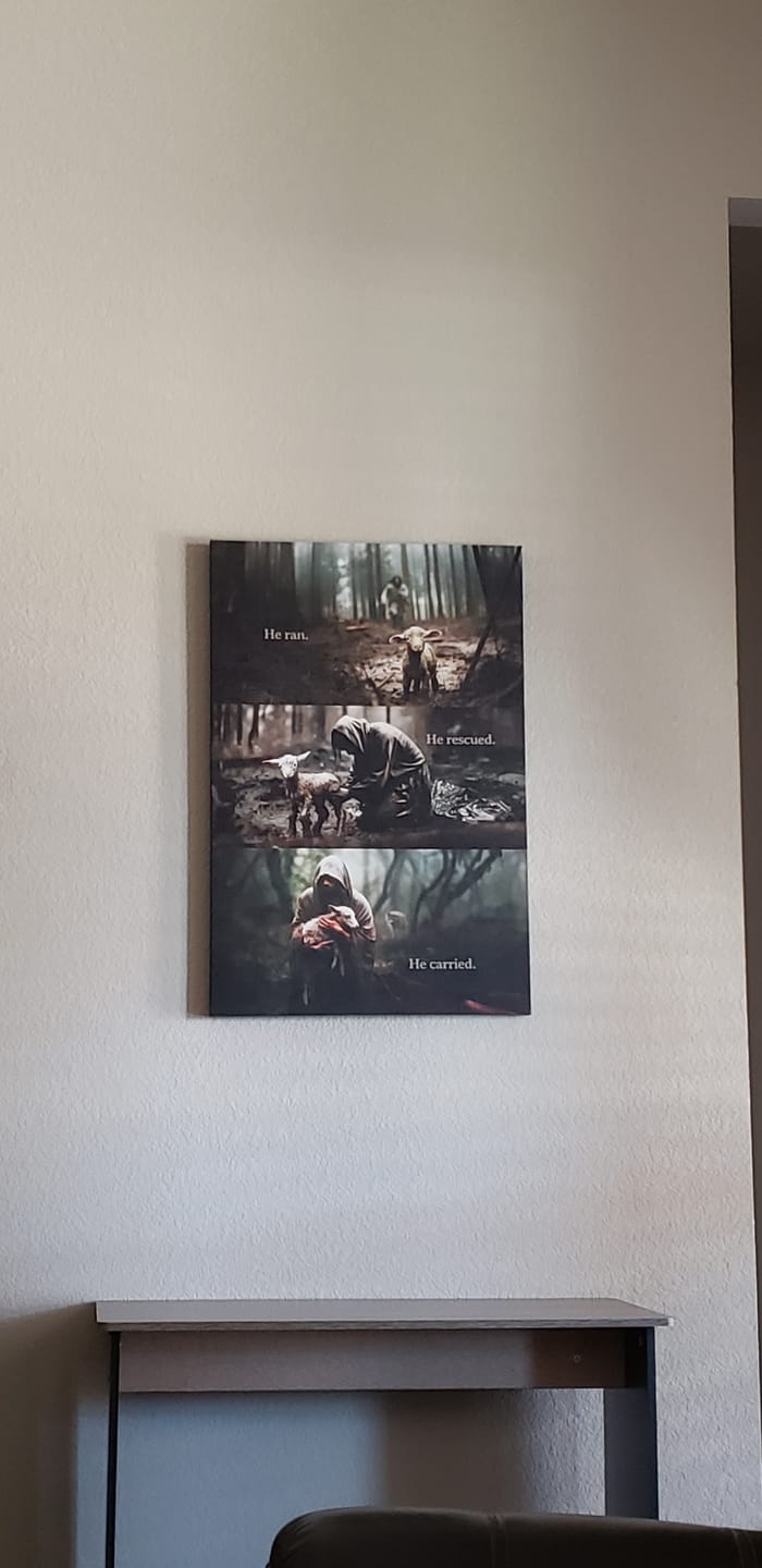 Customer photo review of He Ran, He Rescued, He Carried, Jesus and Lost Sheep, Wall Art Canvas