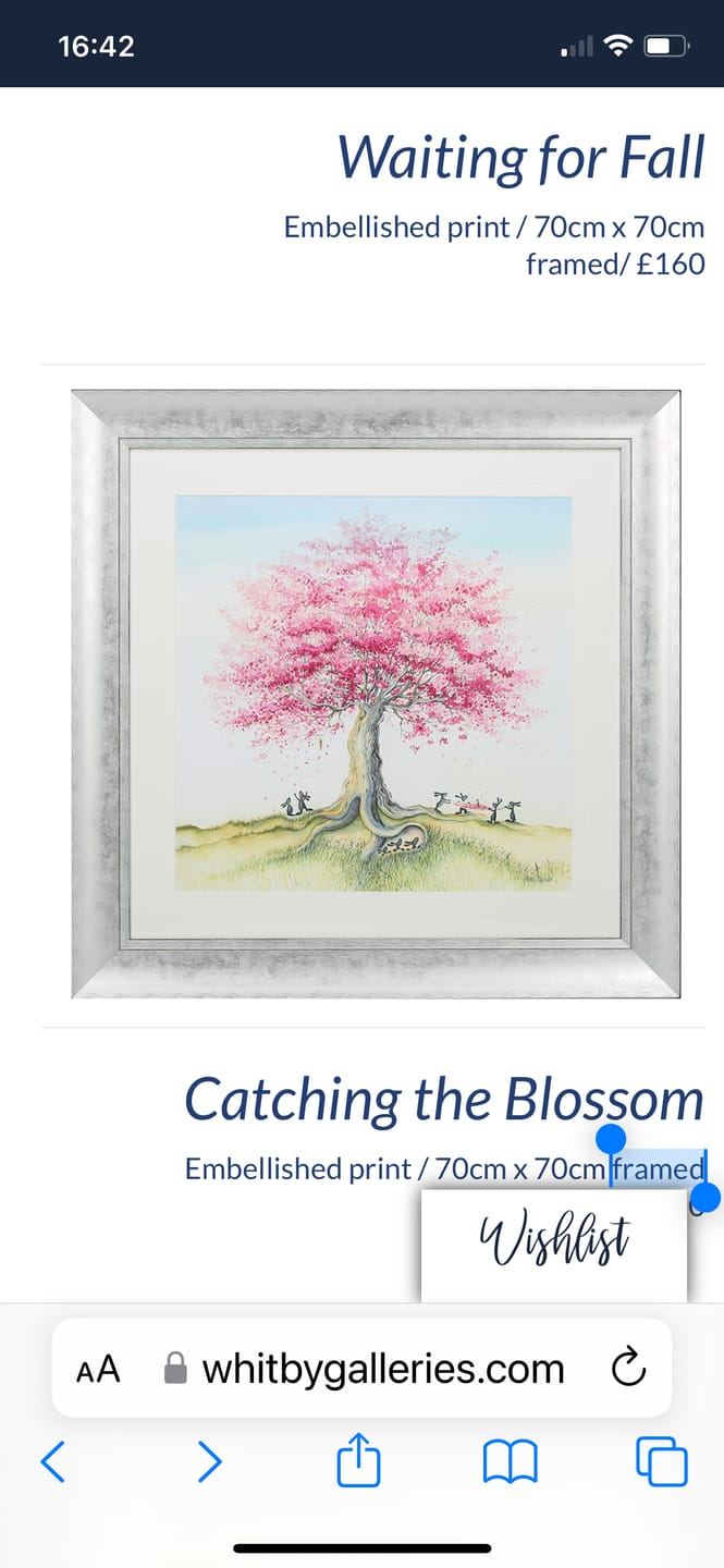 Customer photo review of Catching The Blossom (Deluxe) By Catherine Stephenson