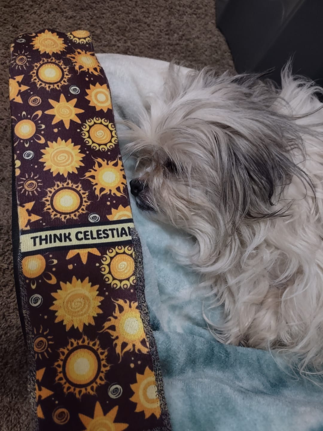 Customer photo review of Think Celestial