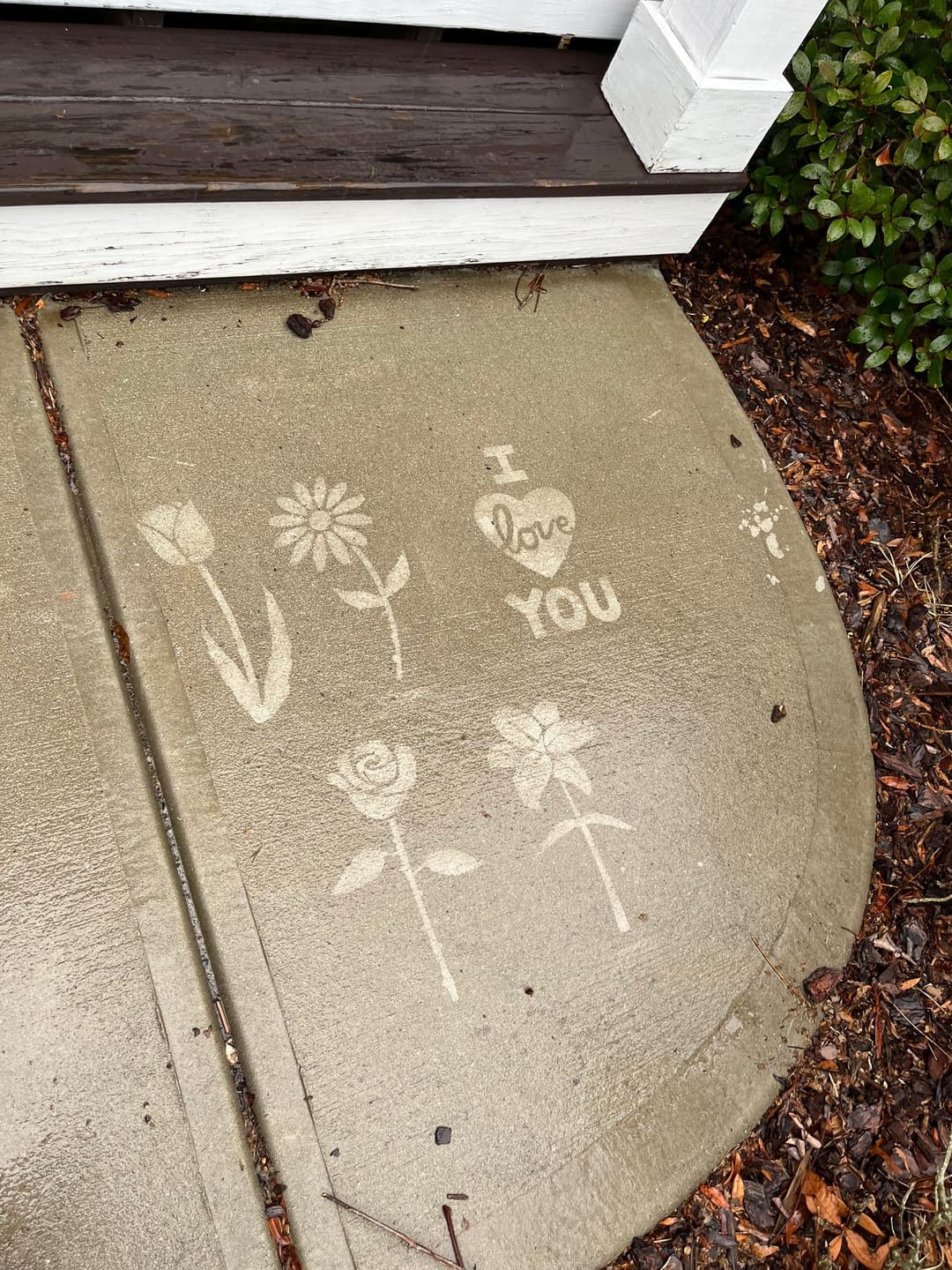 Customer photo review of Invisible Spray 2.0 Starter Kit (10-15 sq ft)