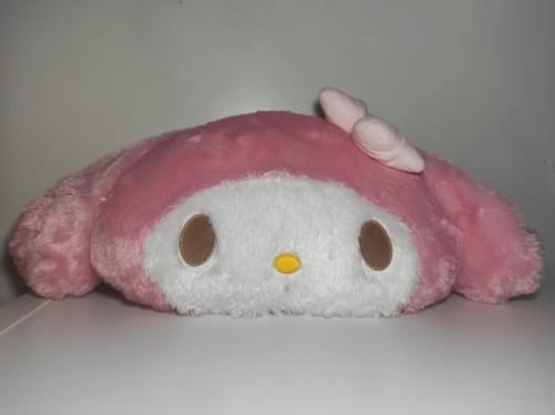 Customer photo review of Kawaii Chibi My Melody Cushions Collections