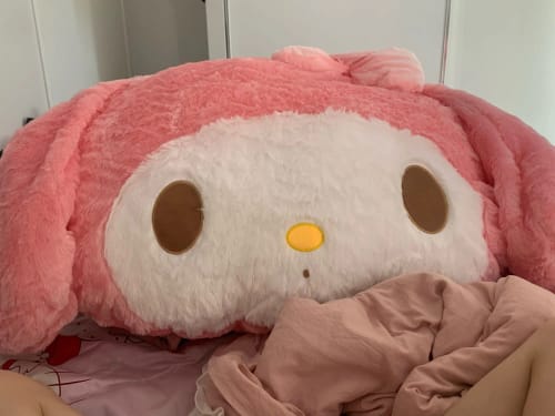 Customer photo review of Kawaii Chibi My Melody Cushions Collections