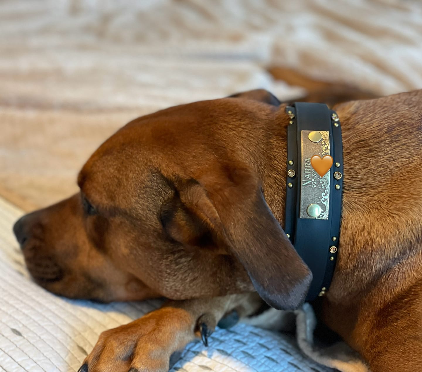 Customer photo review of Designer Rivet-On Tag