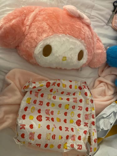 Customer photo review of Kawaii Chibi My Melody Cushions Collections