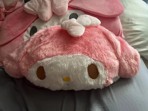 Customer photo review of Kawaii Chibi My Melody Cushions Collections