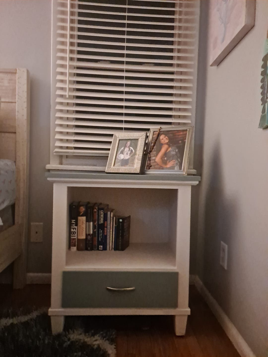 Customer photo review of One Step Paint - Barnboard