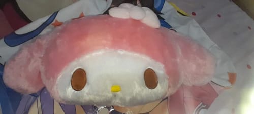 Customer photo review of Kawaii Chibi My Melody Cushions Collections