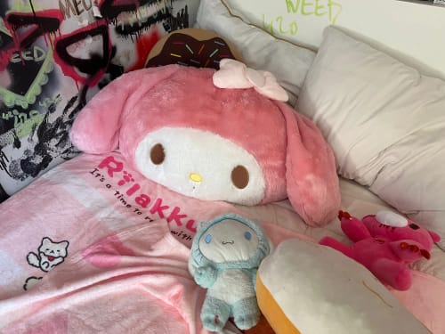 Customer photo review of Kawaii Chibi My Melody Cushions Collections