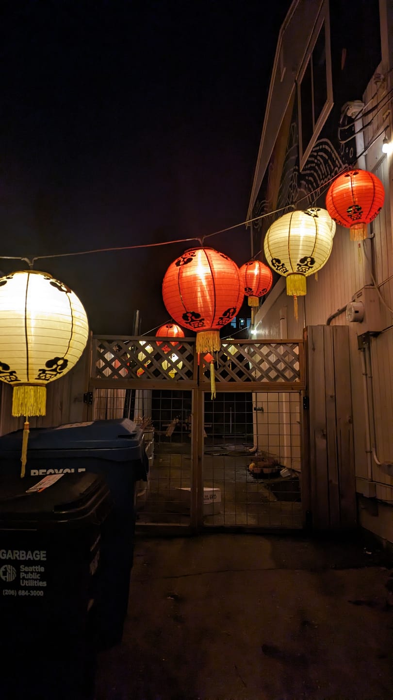 Customer photo review of 14 Inch Red Traditional Nylon Chinese New Year Lantern w/Tassel