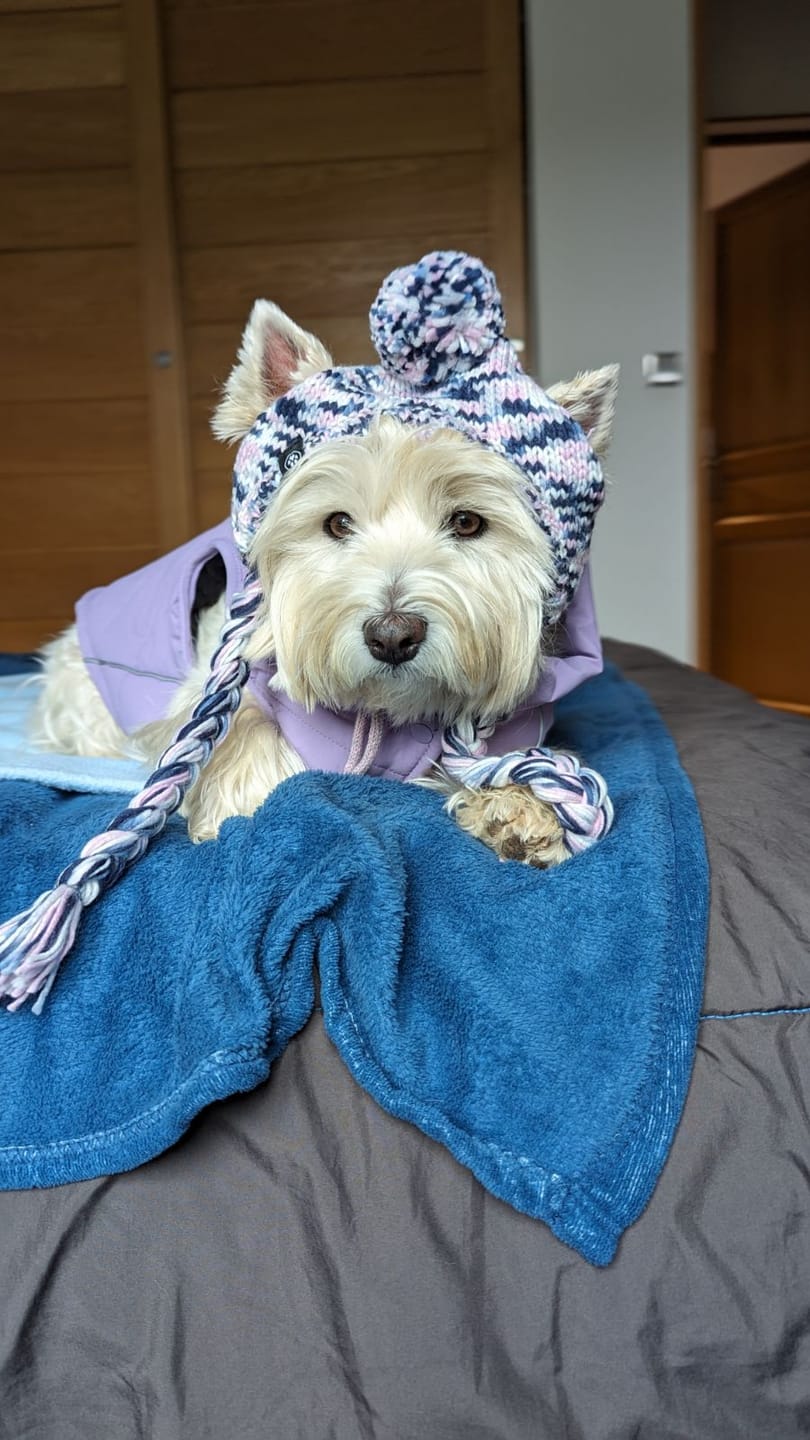 Customer photo review of Knit Matching Human Pom Hats