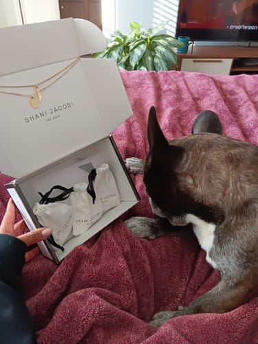 Customer photo review of Israel Map Necklace