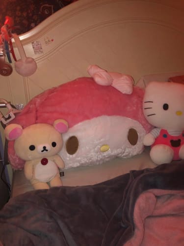 Customer photo review of Kawaii Chibi My Melody Cushions Collections