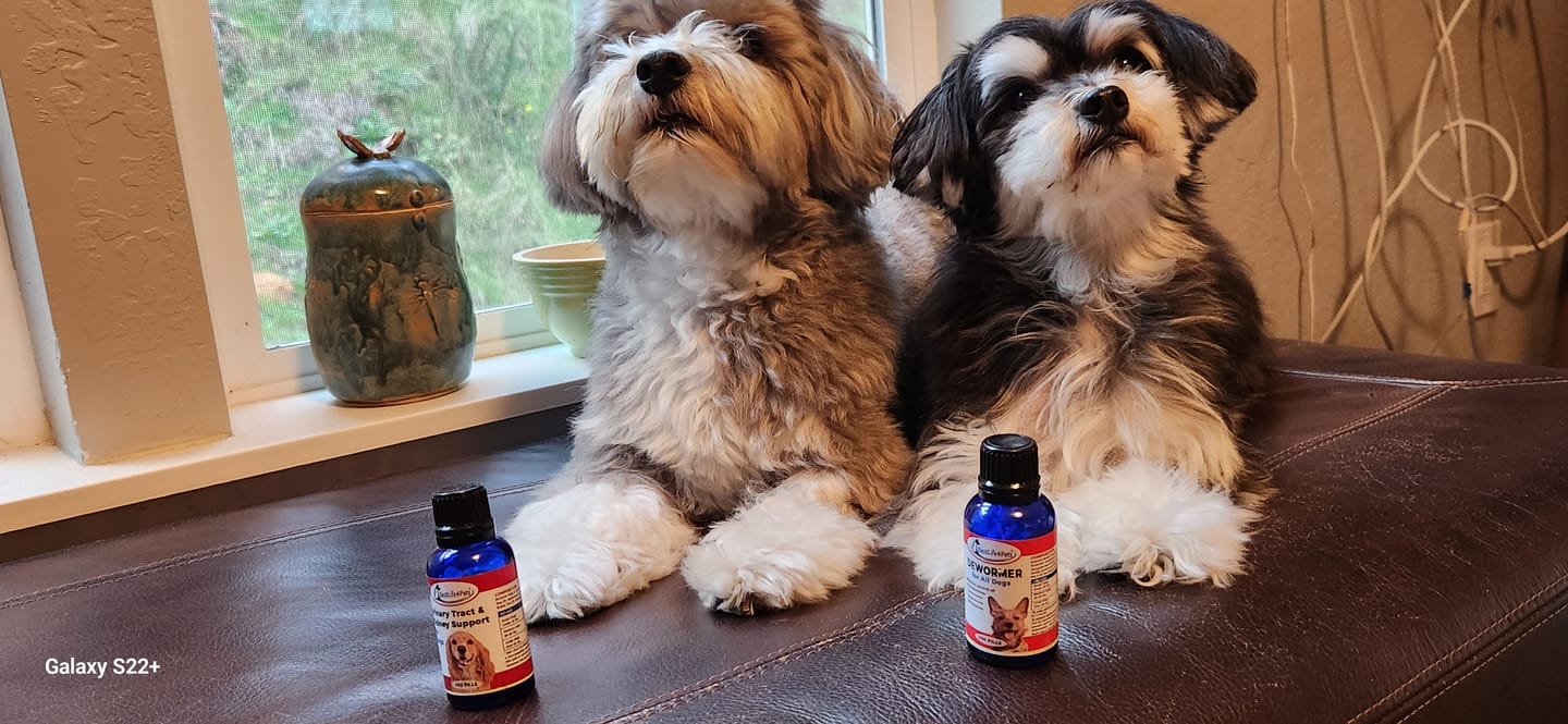 Customer photo review of Dewormer for Dogs - Broad Spectrum De-wormer for All Dogs, Large and Small Breeds