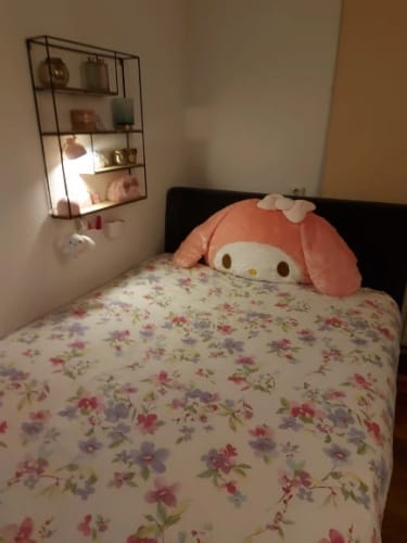 Customer photo review of Kawaii Chibi My Melody Cushions Collections