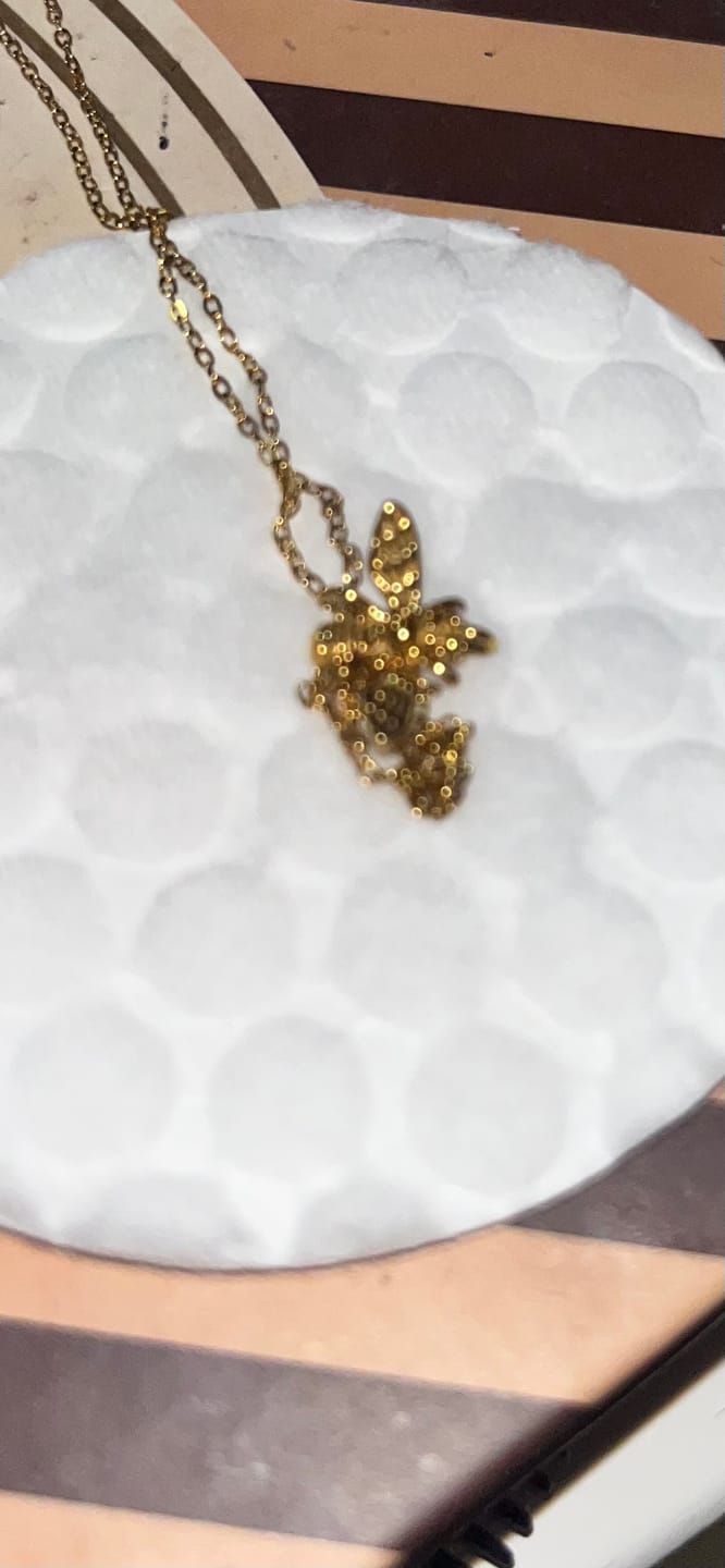 Customer photo review of Collar Queen Bee