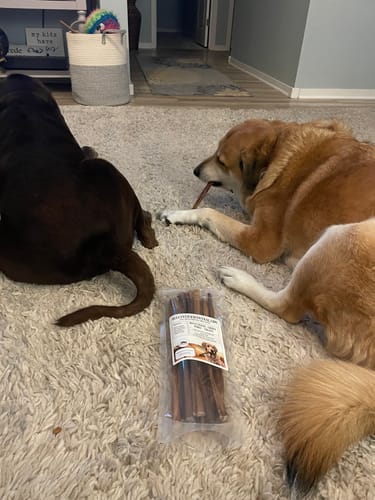 Customer photo review of 12" Thin Bully Sticks