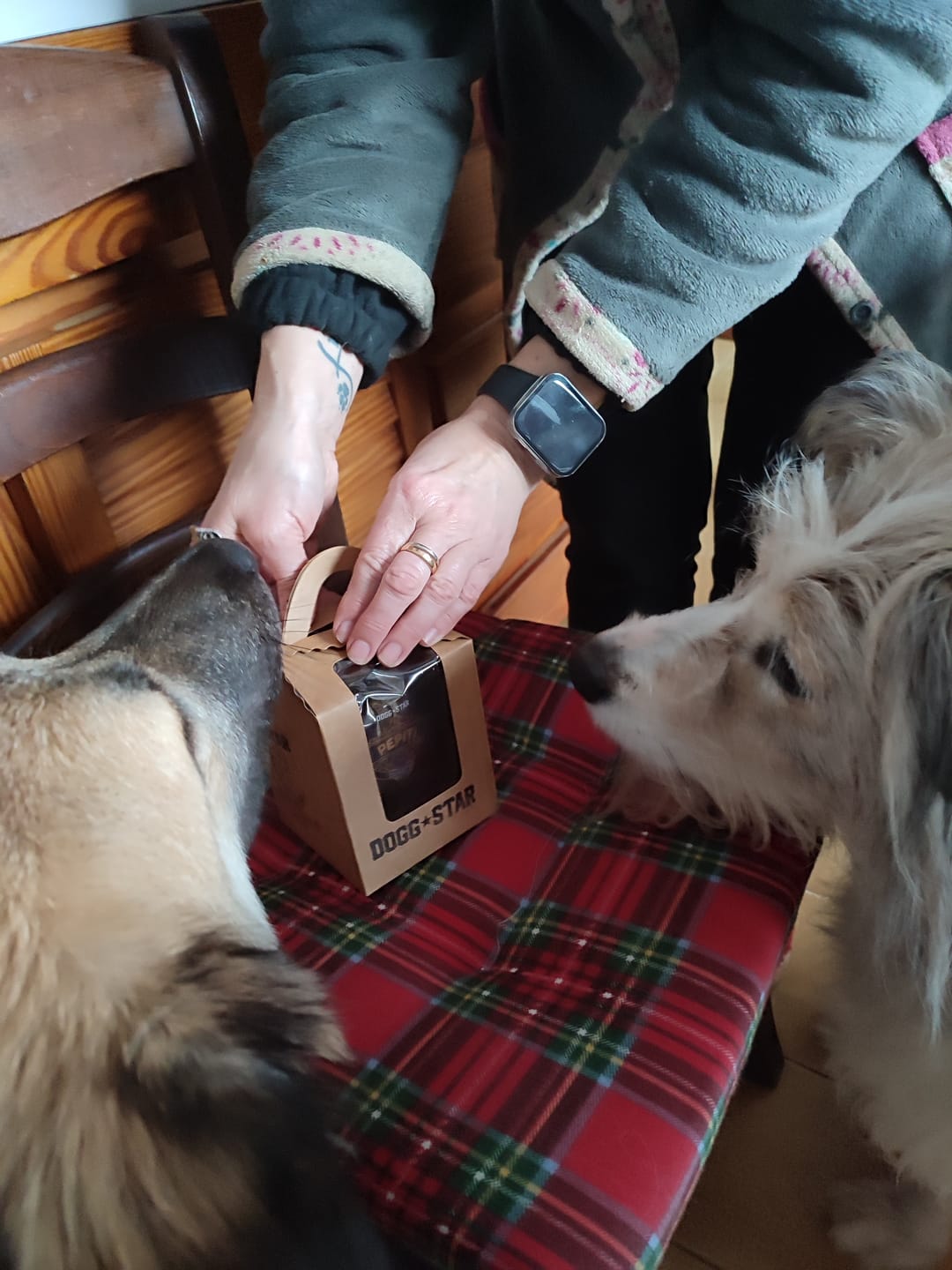 Customer photo review of Biscotti Per Cani Pepiti