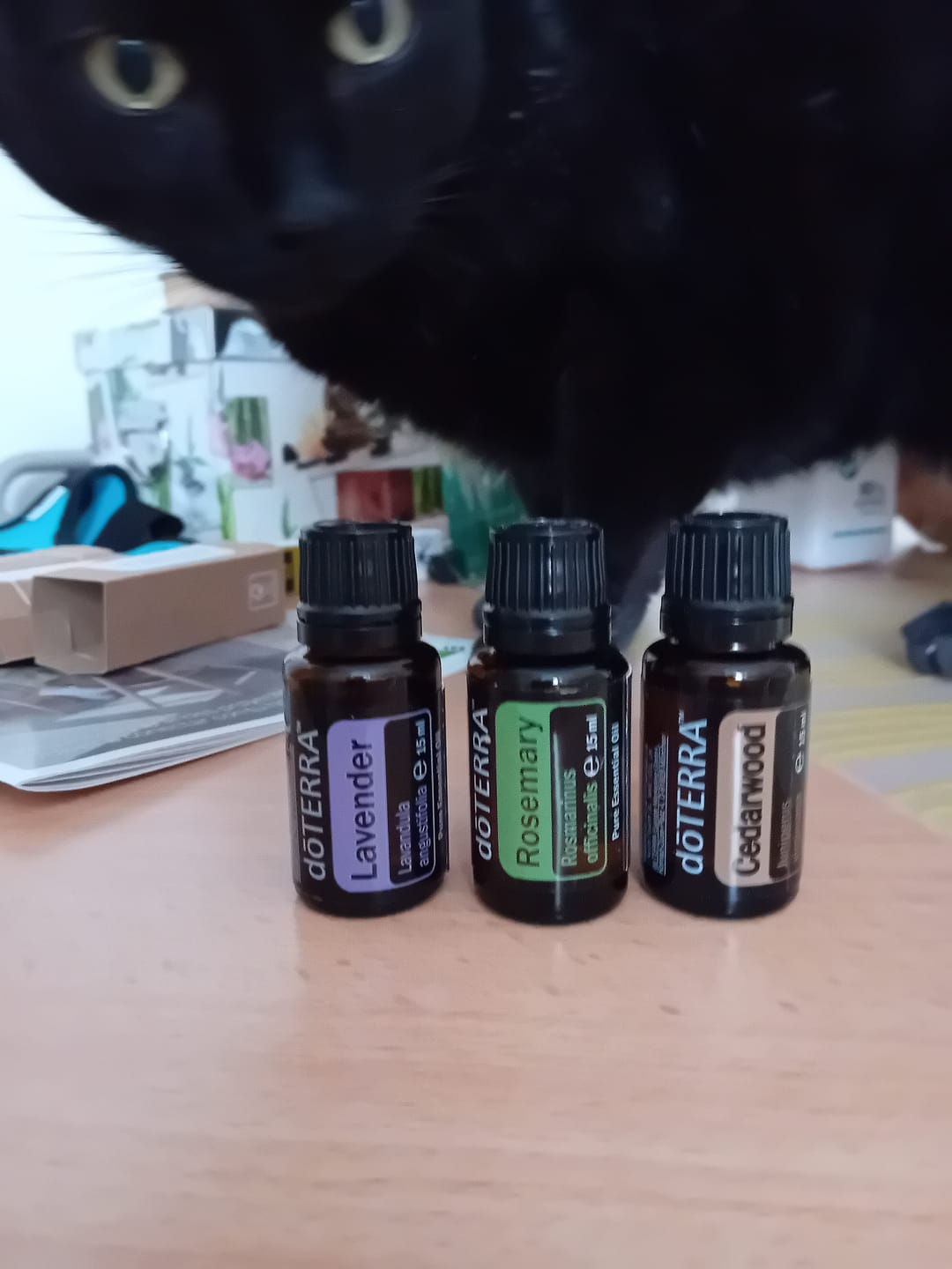 Customer photo review of Aceite Esencial de Romero | 15 ml dōTERRA