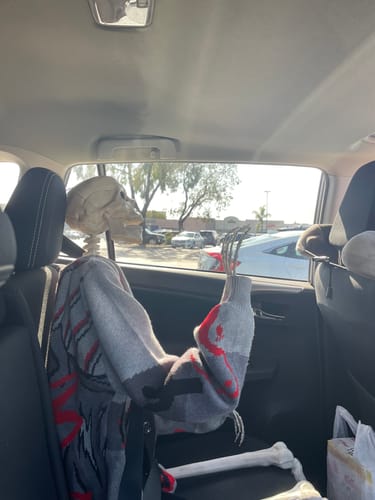 Customer photo review of Chupacabra Cardigan