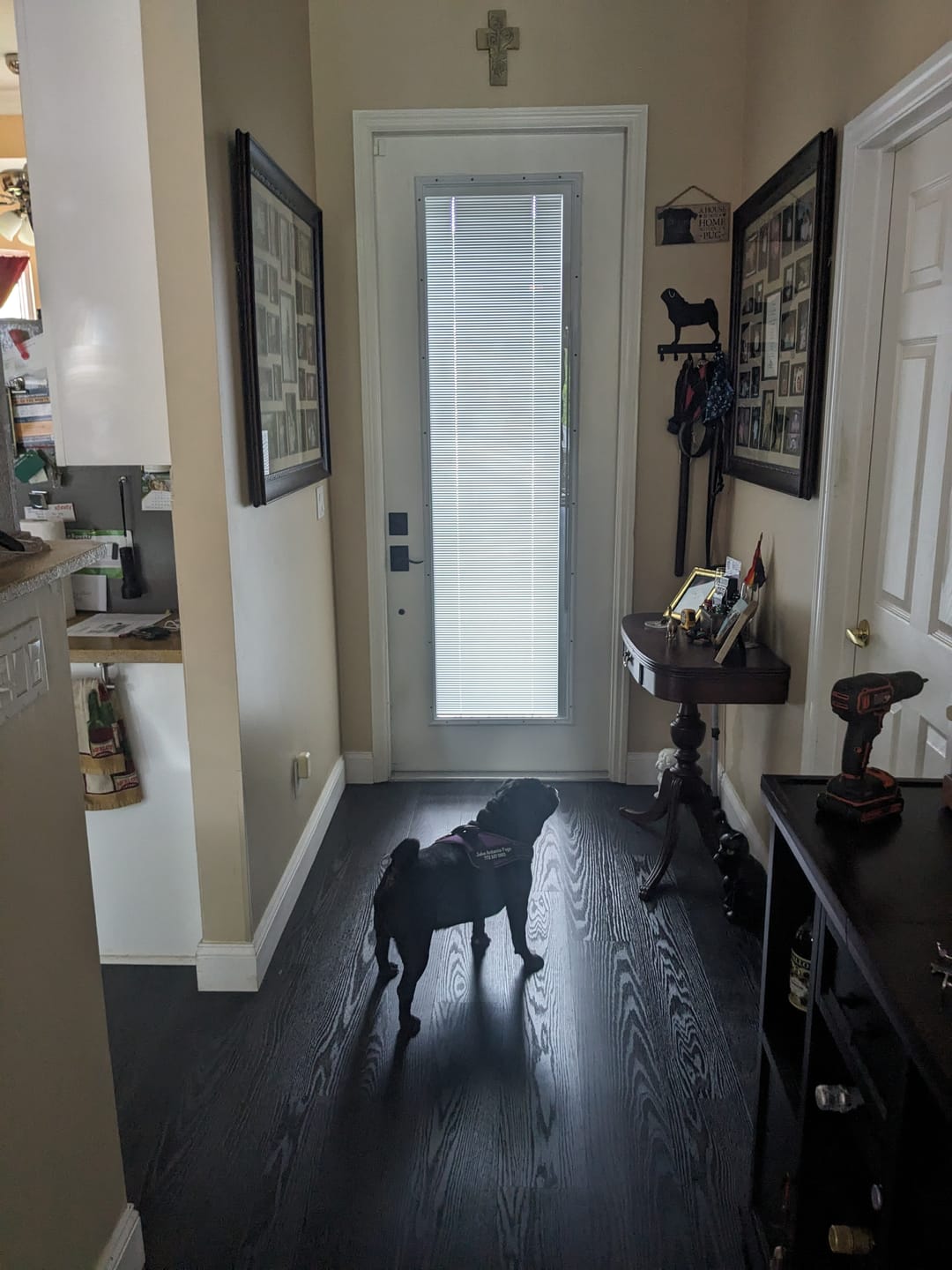 Customer photo review of Raise & Lower Blinds Glass and Frame Kit (Tall Full Lite)
