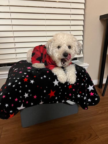 Customer photo review of Large Gnaw Box