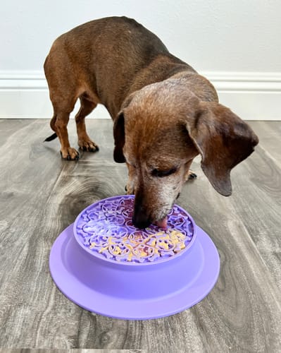 Customer photo review of Slow Feeder - Lick Pad Combo