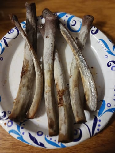 Customer photo review of RIBS & ROASTS