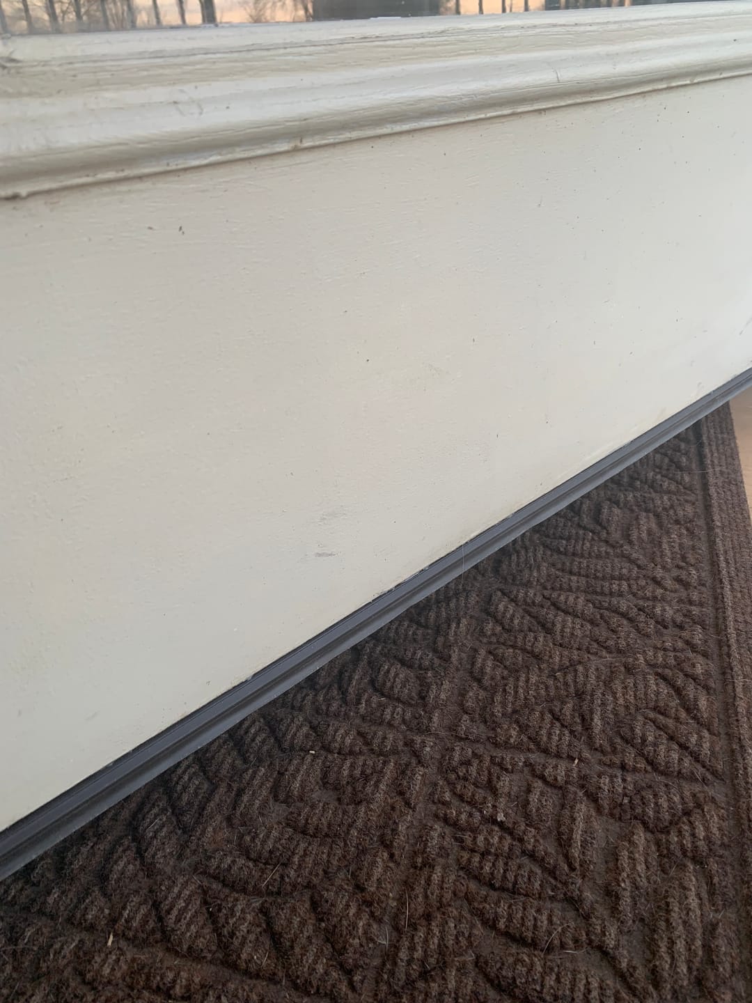 Customer photo review of Therma-Tru Drive-On Door Sweep