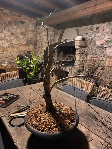 Customer photo review of SUPREMACY CB® (substrato premium ad alte prestazioni)