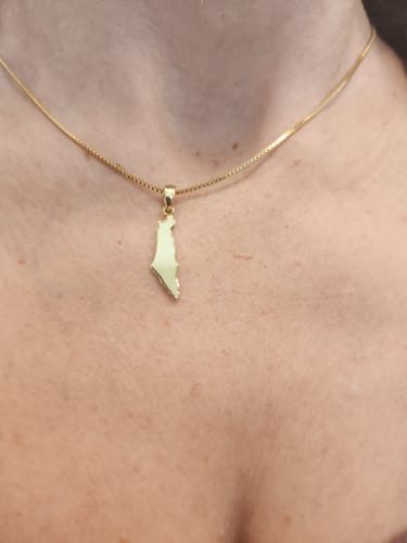 Customer photo review of Israel Map Necklace
