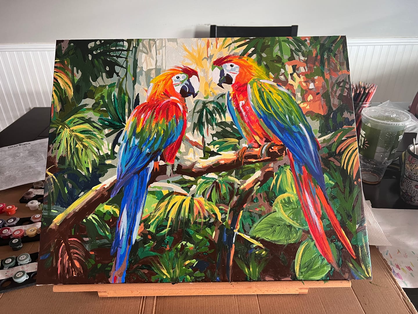 Customer photo review of Macaw Pair